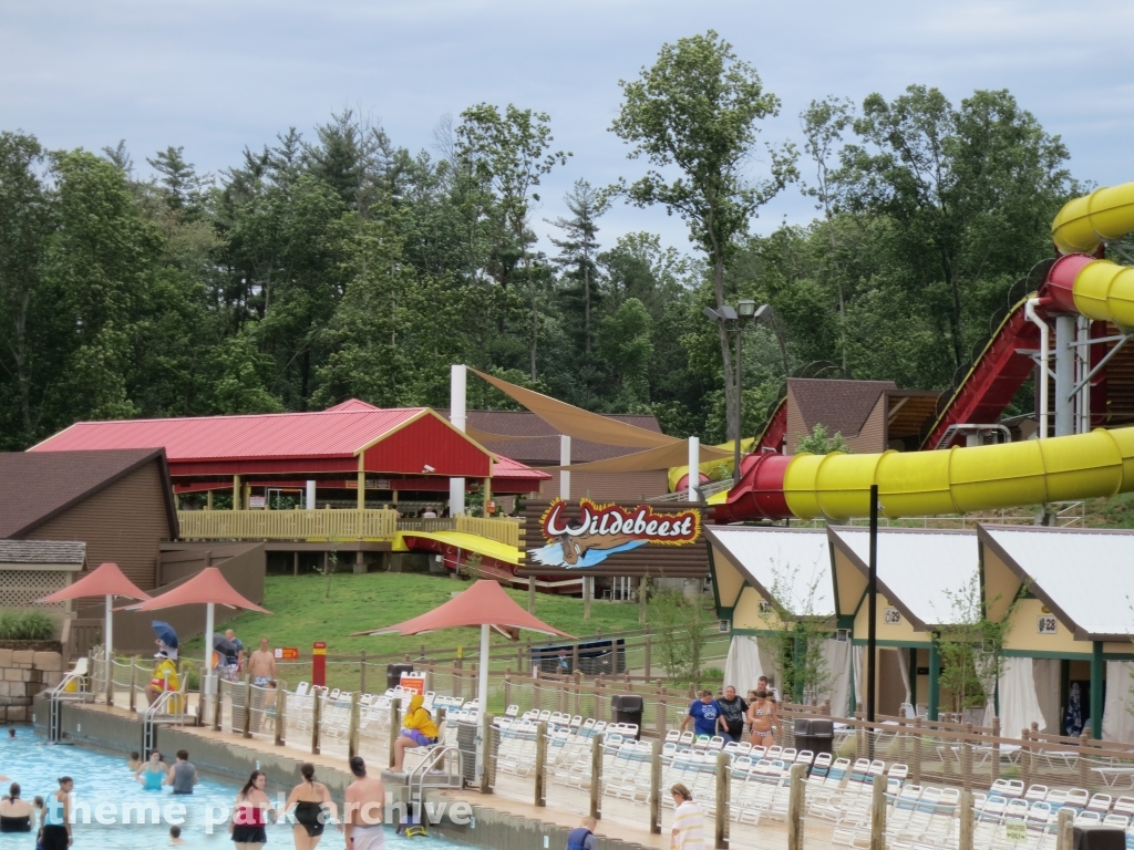 Wildebeest at Holiday World