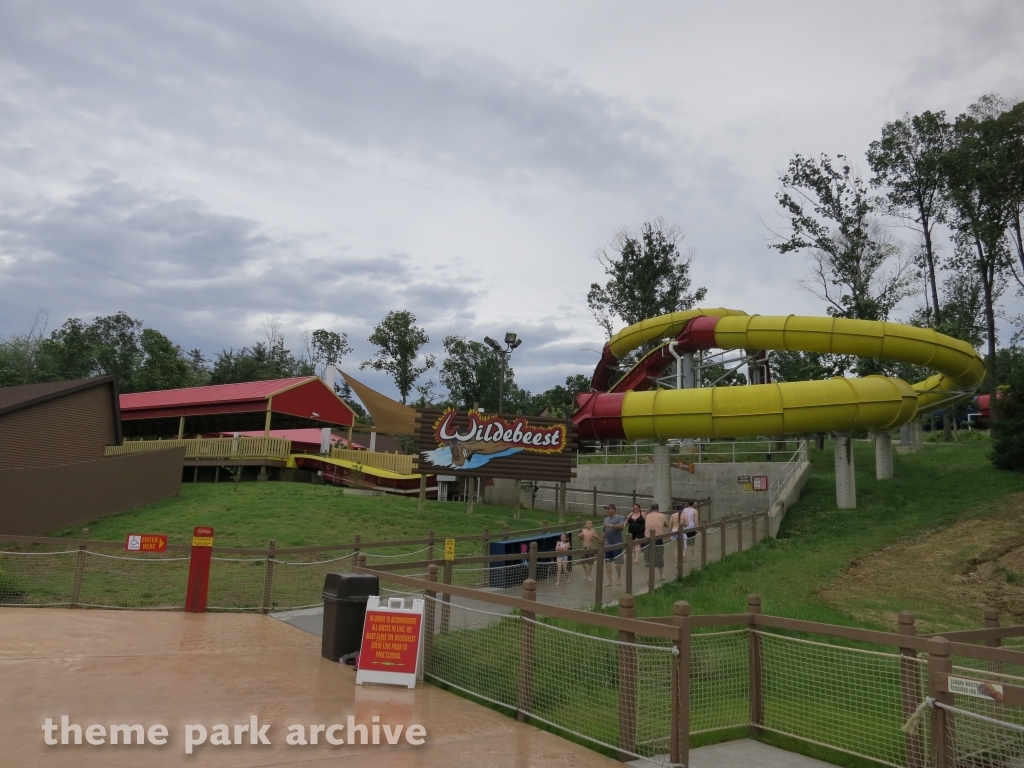 Wildebeest at Holiday World