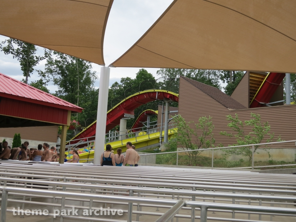 Wildebeest at Holiday World