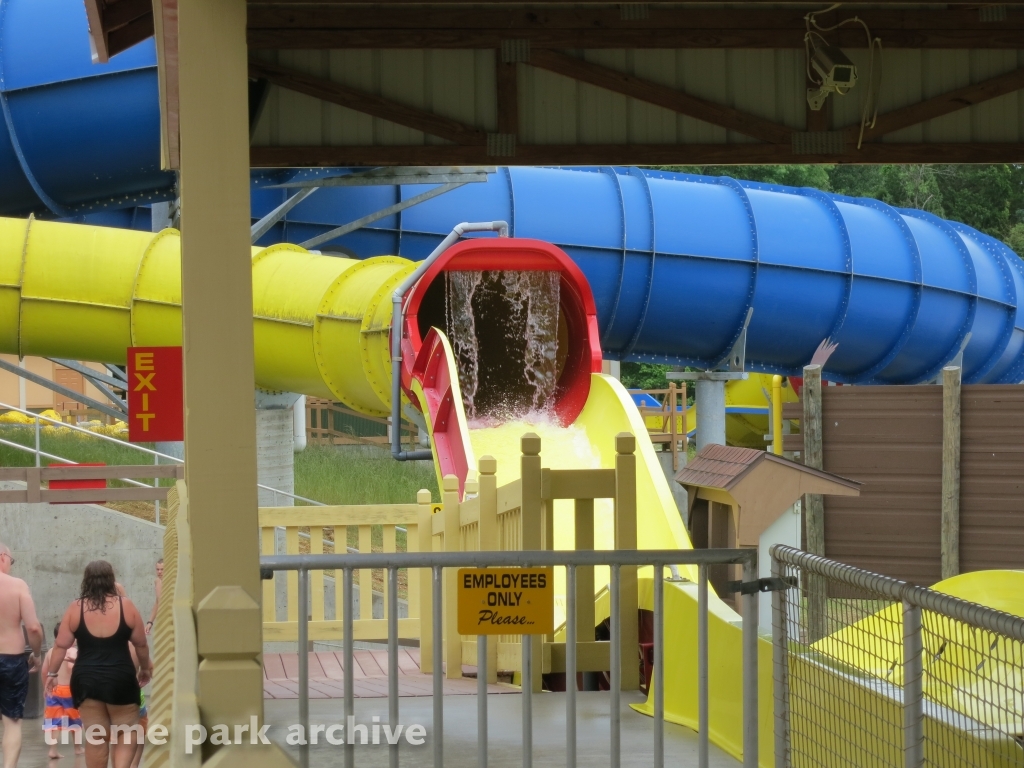 Wildebeest at Holiday World