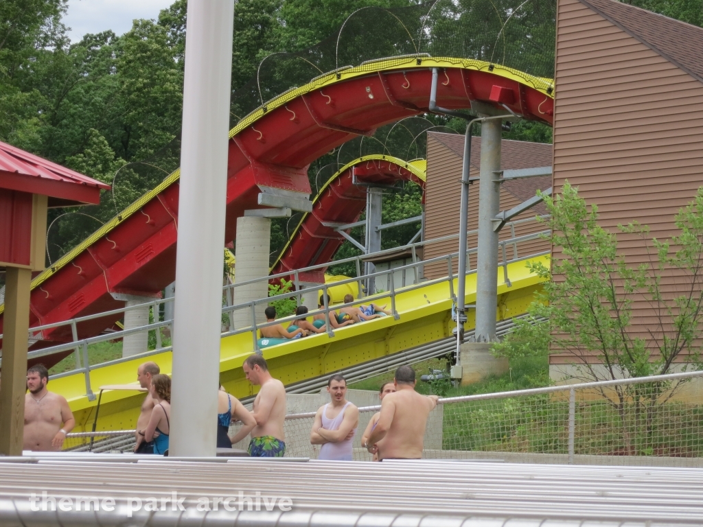 Wildebeest at Holiday World