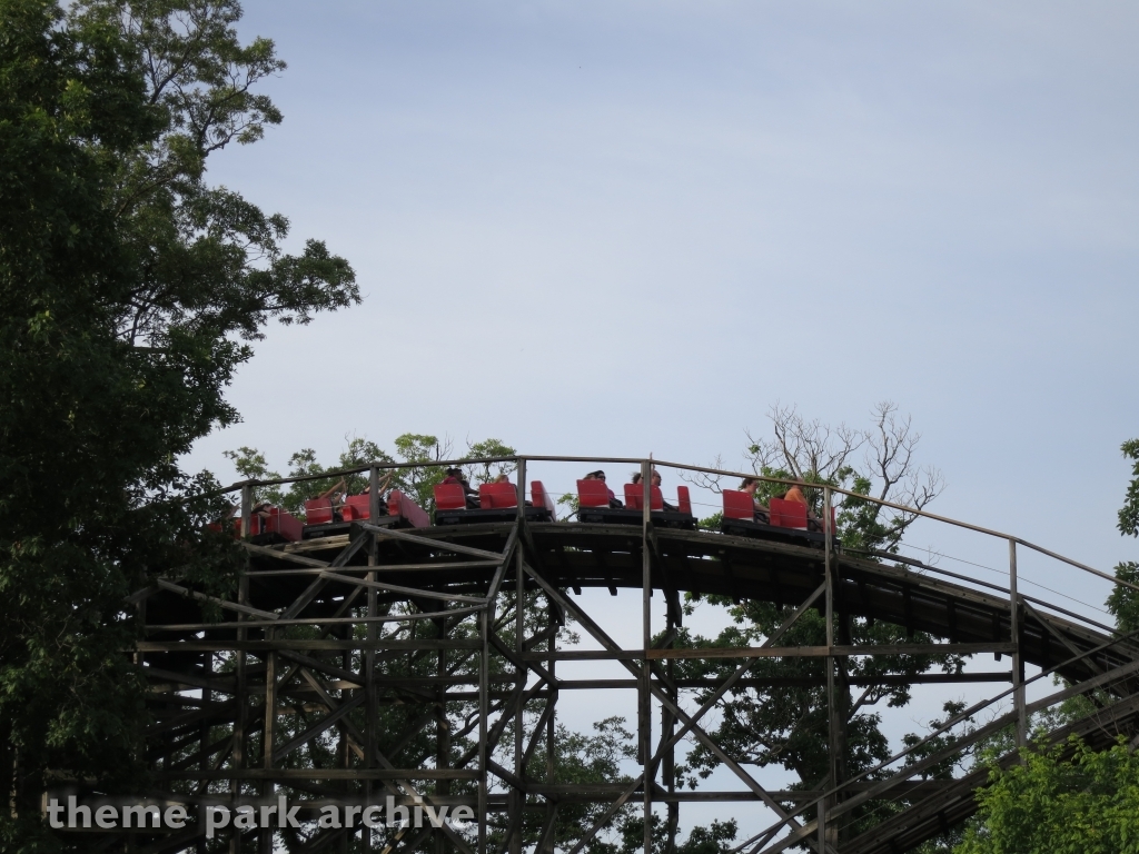 Raven at Holiday World