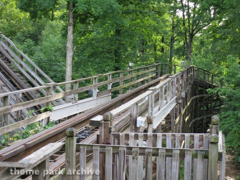 Raven at Holiday World
