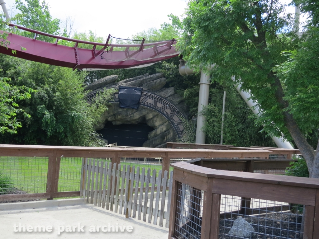 Diamondback at Kings Island
