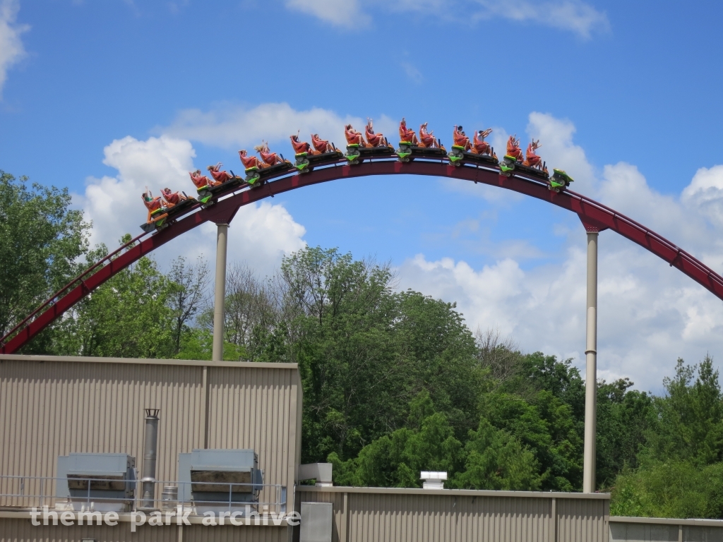 Diamondback at Kings Island