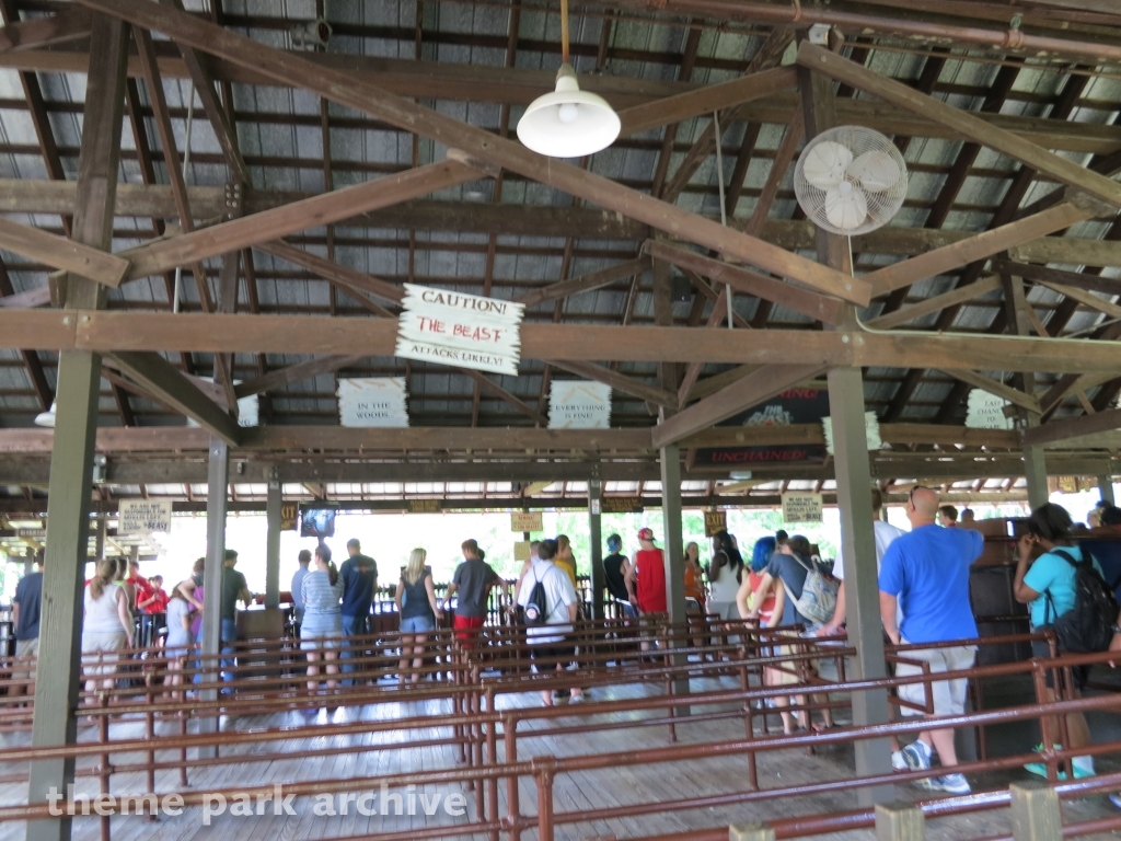 The Beast at Kings Island