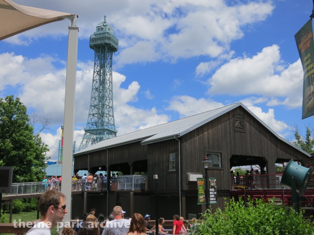Diamondback at Kings Island