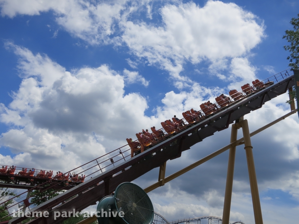 Diamondback at Kings Island
