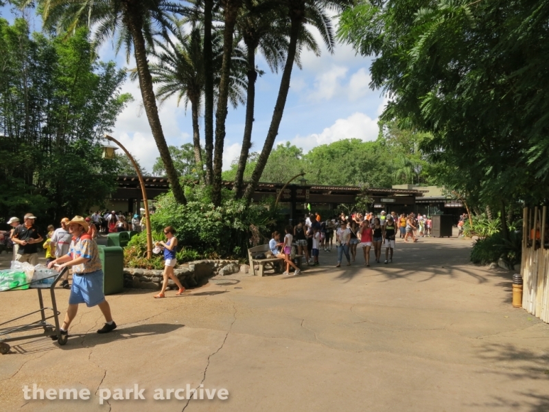 Oasis at Disney's Animal Kingdom