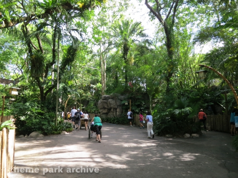 Oasis at Disney's Animal Kingdom