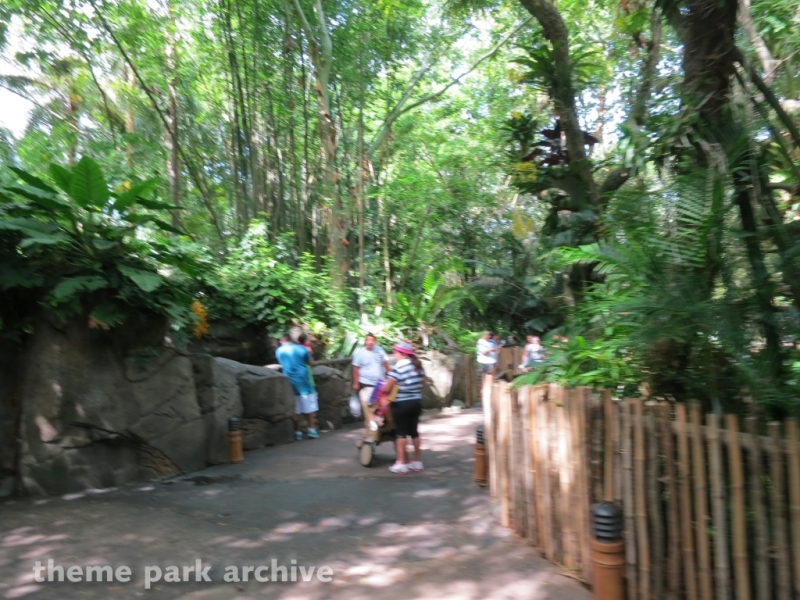 Oasis at Disney's Animal Kingdom