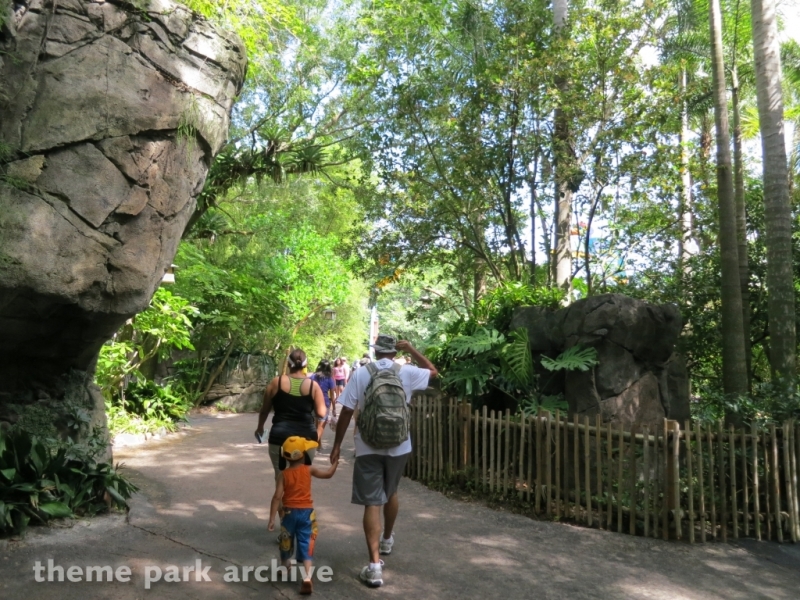 Oasis at Disney's Animal Kingdom