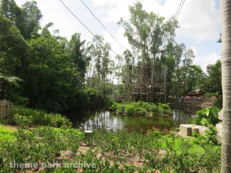 Asia at Disney's Animal Kingdom