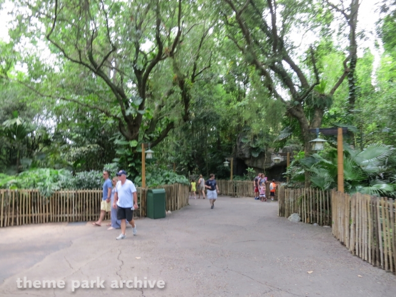 Oasis at Disney's Animal Kingdom