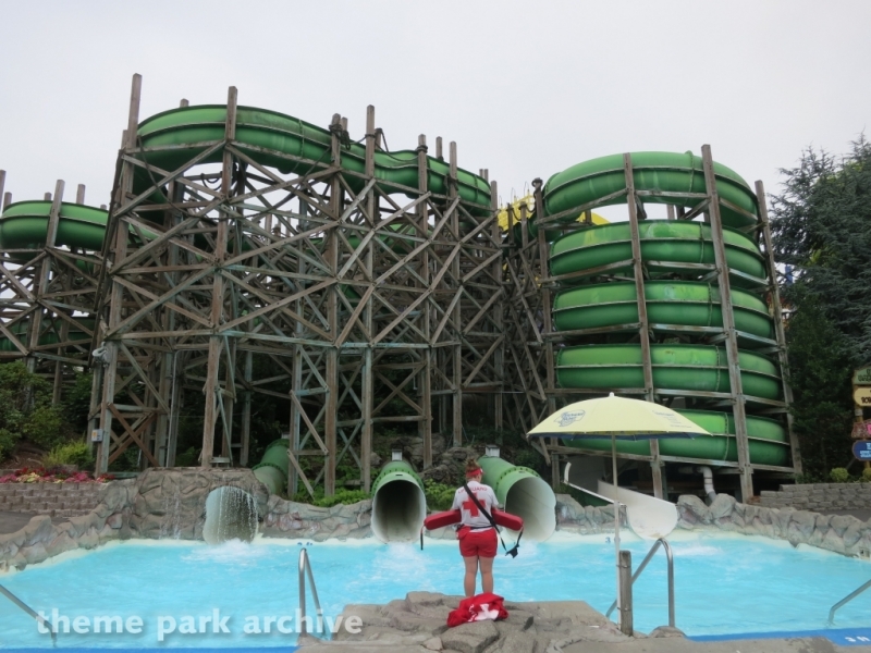 Green Slides at Wild Waves Theme Park