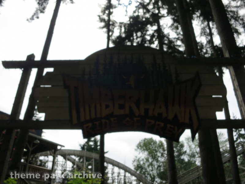Timberhawk at Wild Waves Theme Park