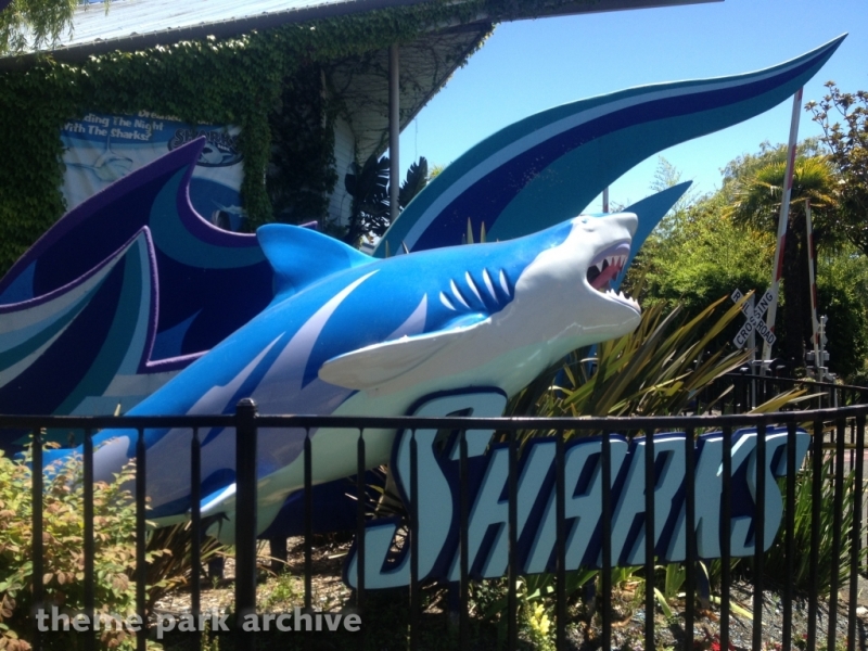 Sharks at Six Flags Discovery Kingdom