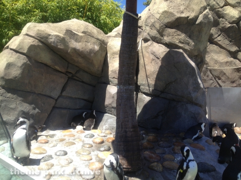 Penguin Passage at Six Flags Discovery Kingdom