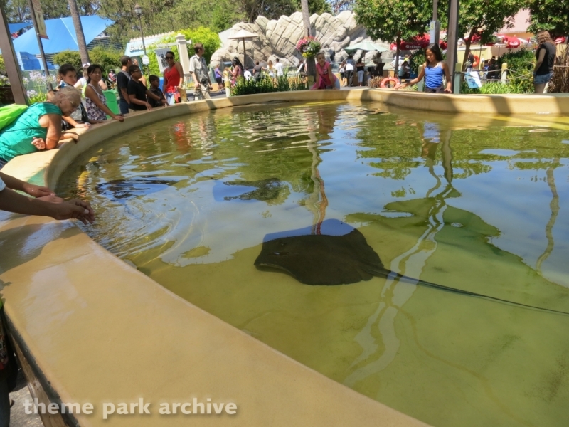 Sting Ray Bay at Six Flags Discovery Kingdom