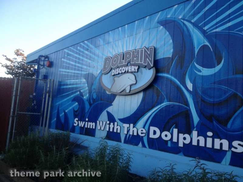 Dolphin Discovery at Six Flags Discovery Kingdom