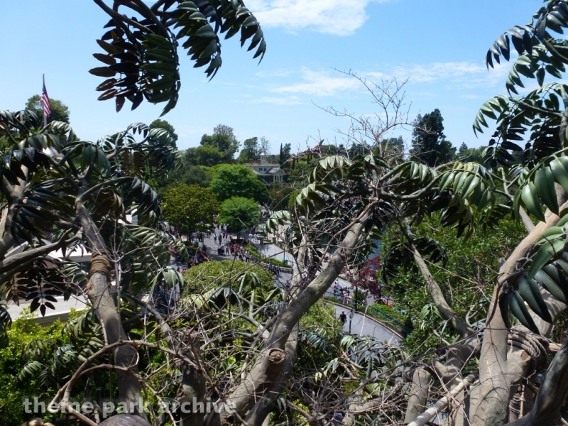 Tarzan's Treehouse at Disneyland