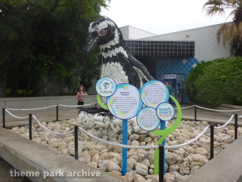 Penguin Encounter at SeaWorld San Antonio