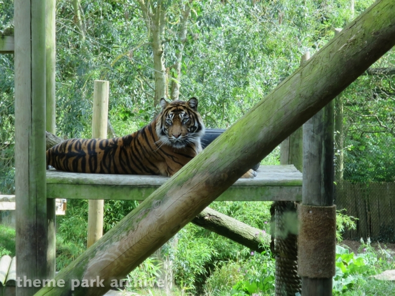 Chessington Zoo at Chessington World of Adventures Resort