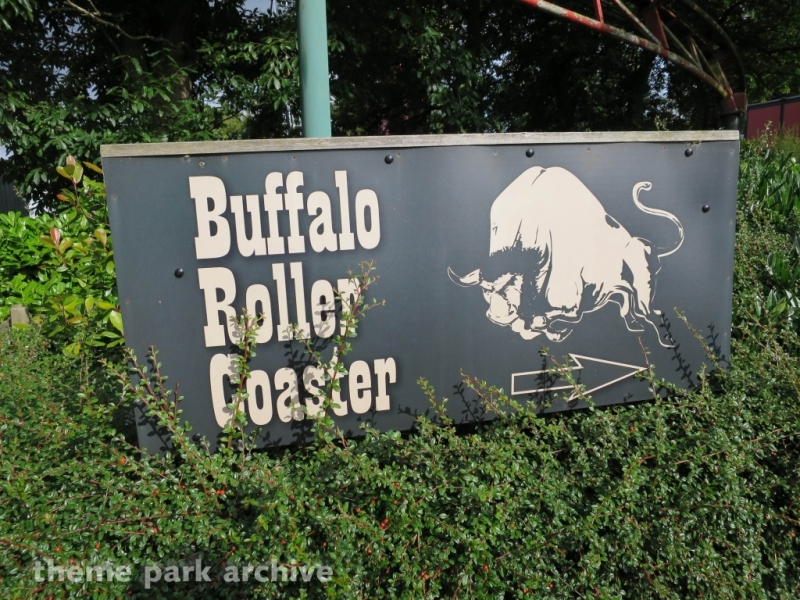 Buffalo Roller Coaster at Drayton Manor