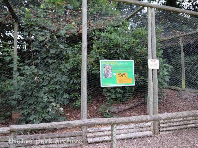Zoo at Drayton Manor