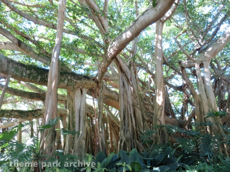 Cypress Gardens at LEGOLAND Florida
