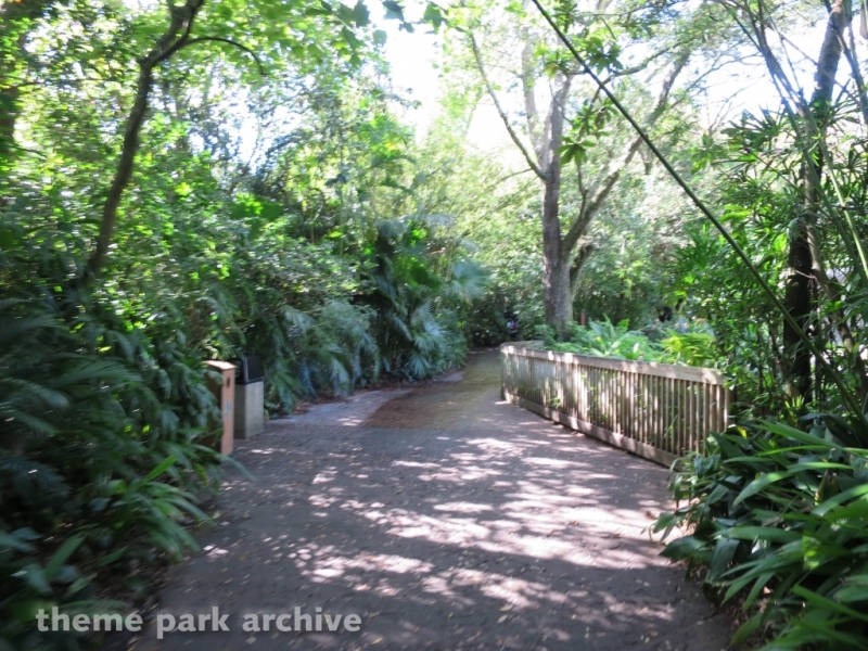 Myambe Reserve at Busch Gardens Tampa