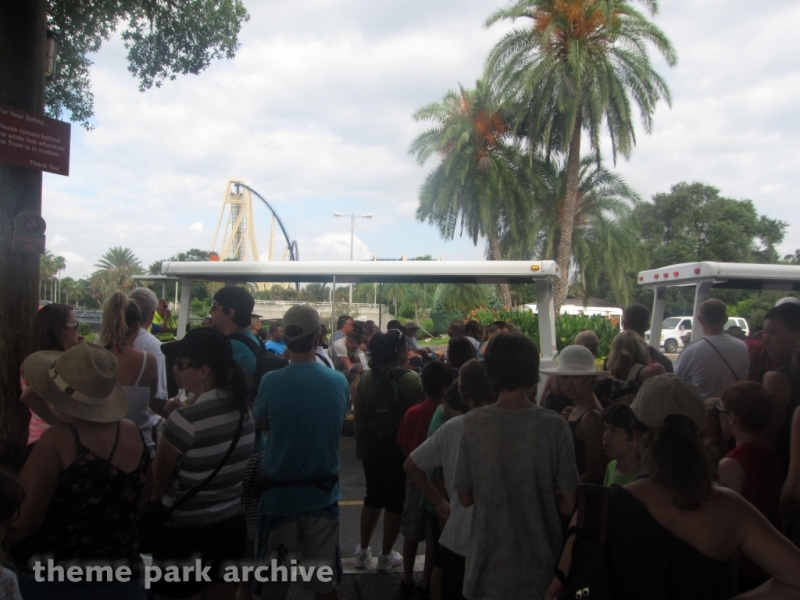 Entrance   Exit at Busch Gardens Tampa