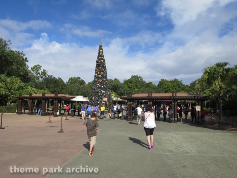 Oasis at Disney's Animal Kingdom