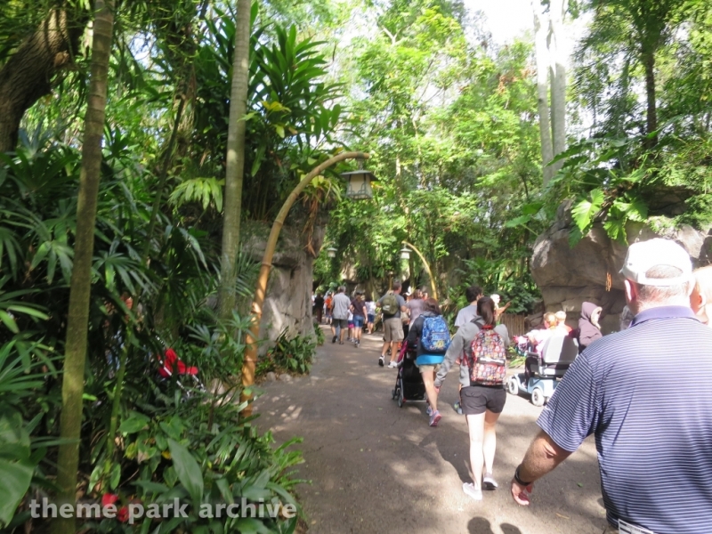 Oasis at Disney's Animal Kingdom