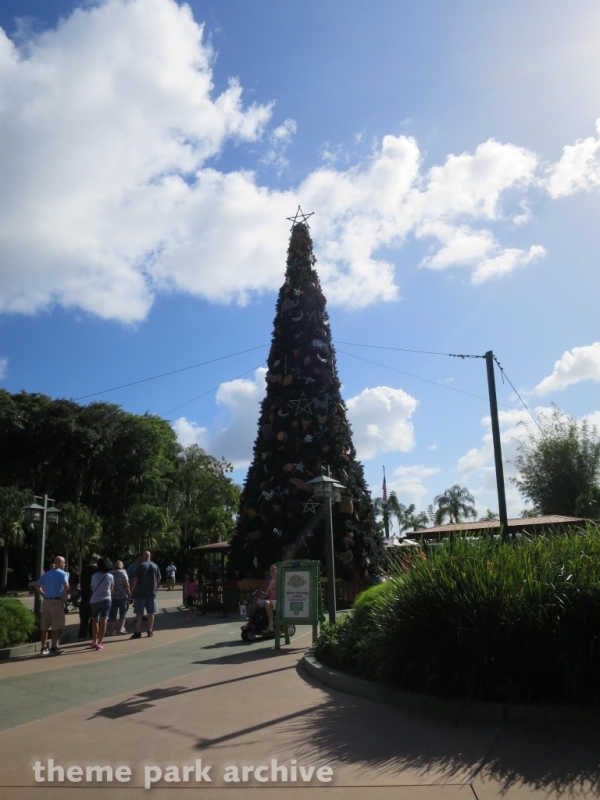 Oasis at Disney's Animal Kingdom