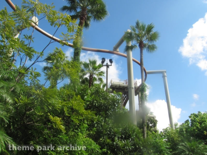Pteranodon Flyers at Universal Islands of Adventure