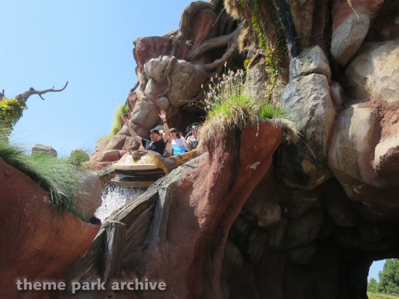 Splash Mountain at Disneyland