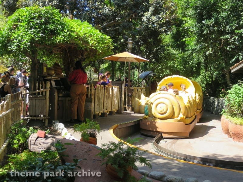 Winnie the Pooh at Disneyland