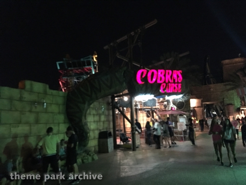 Cobra's Curse at Busch Gardens Tampa