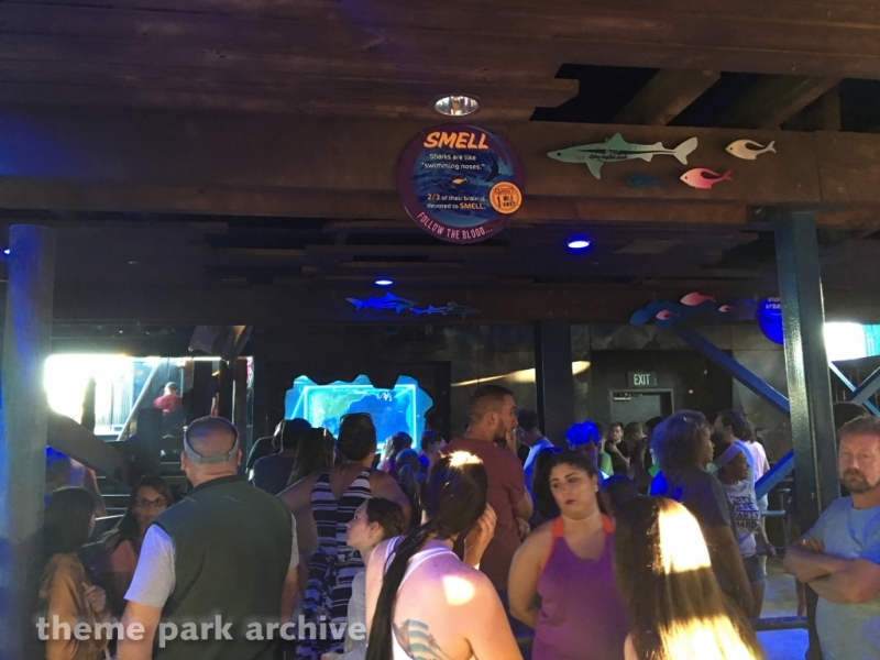 Mako at SeaWorld Orlando