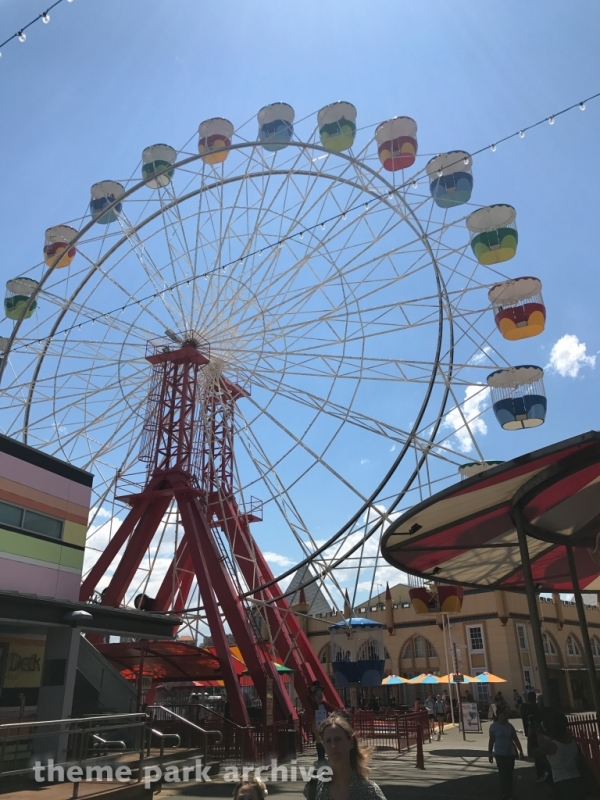 Ferris Wheel at Luna Park