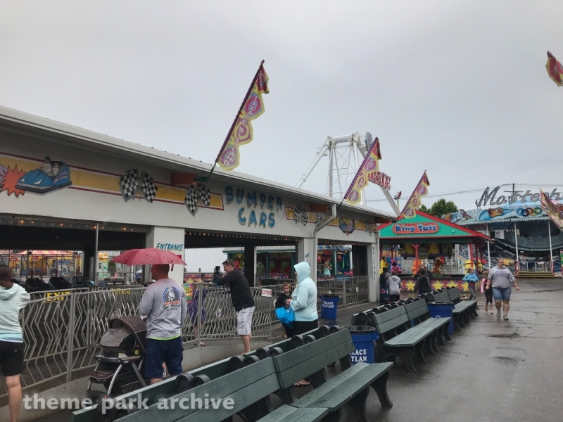 Bumper Cars at Palace Playland