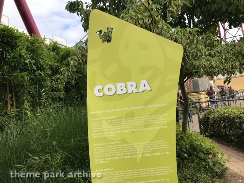 Cobra at Walibi Belgium