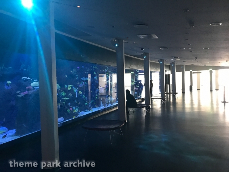 Aquarium at Tivoli Gardens