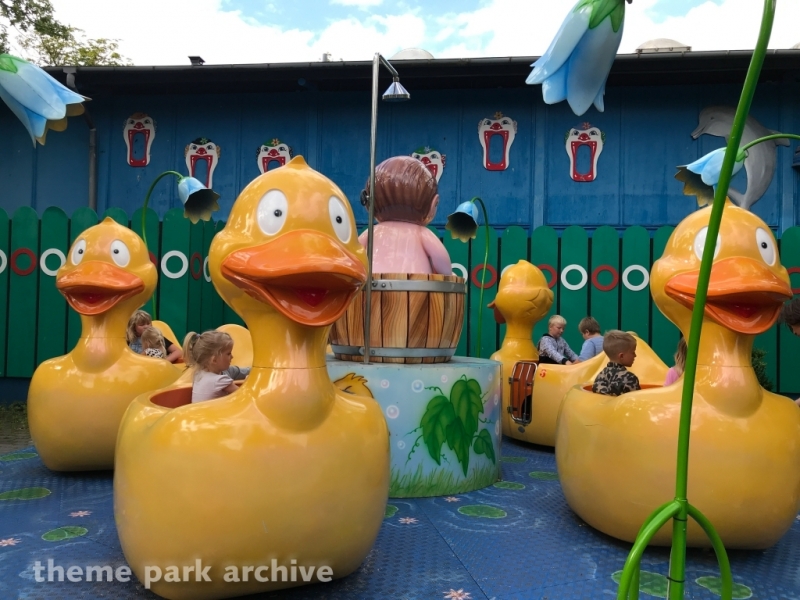 Dizzy Ducks at Bakken