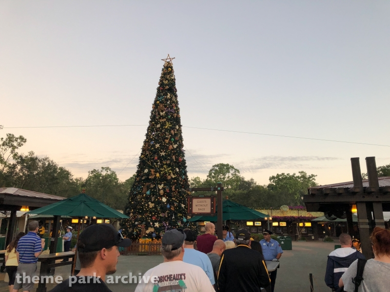 Oasis at Disney's Animal Kingdom
