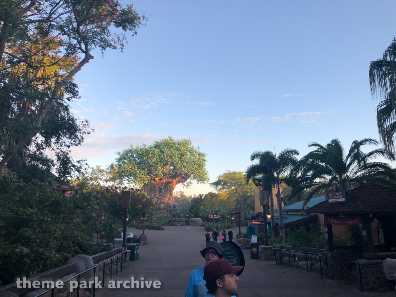 Oasis at Disney's Animal Kingdom