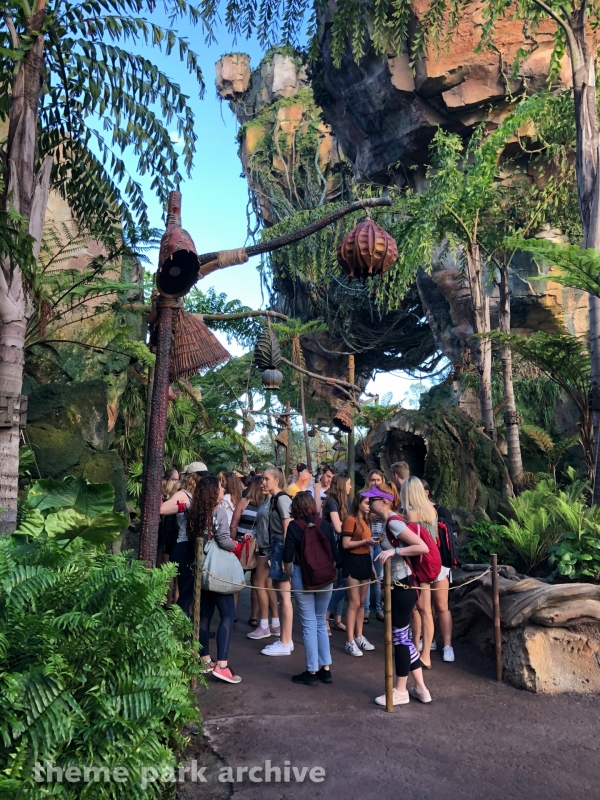 Avatar Flight of Passage at Disney's Animal Kingdom
