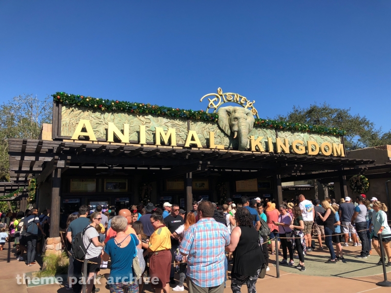 Oasis at Disney's Animal Kingdom