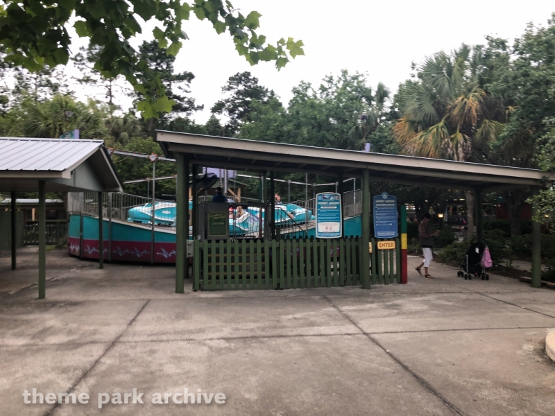 Turtle Race at Wild Adventures